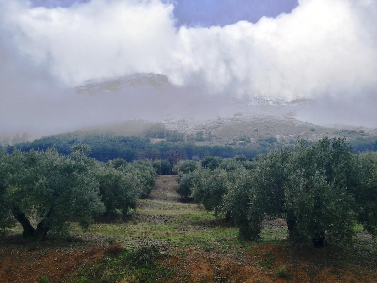 Alojamiento Rural La Caseria De Piedra Restaurante Jaen Ngoại thất bức ảnh